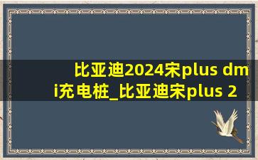 比亚迪2024宋plus dmi充电桩_比亚迪宋plus 2024款